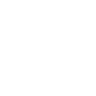 Action Black